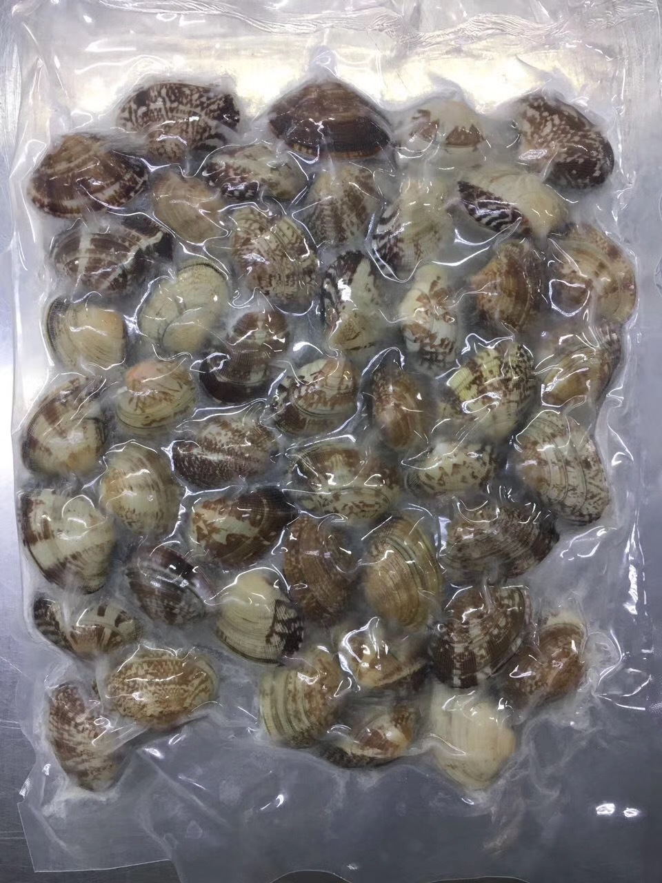 冻煮真空杂色蛤 东港真空花甲 原味花甲 开袋即食