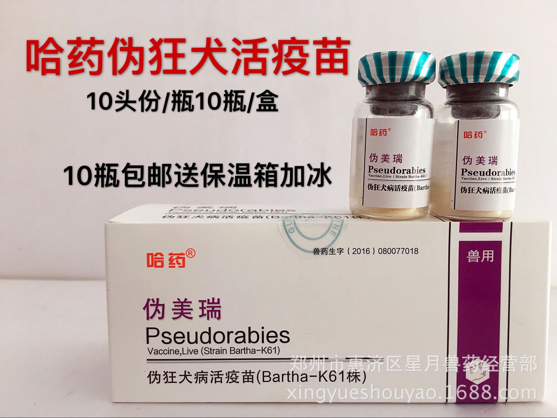 哈药猪伪狂犬活疫苗k61小猪伪狂犬小猪滴鼻伪狂犬疫苗猪疫苗1盒价