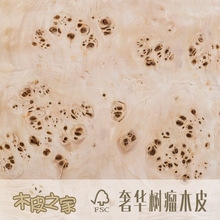 厂家直销 欧洲白杨树榴天然木皮 家具饰面木皮贴皮贴面