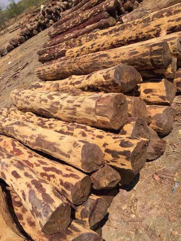 批发工程专用防腐防裂木材 非洲红铁木原木 优质耐用工程原木料