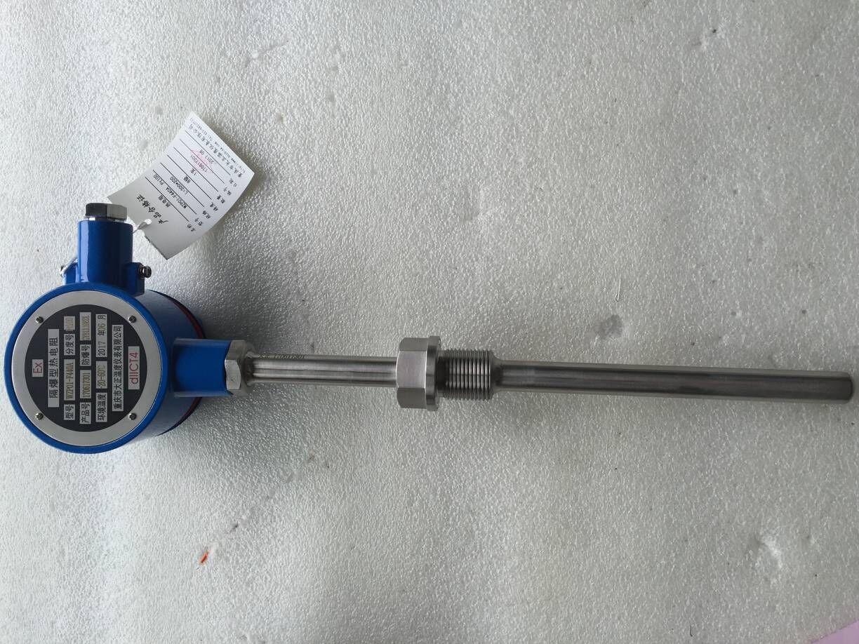 类型 隔爆型热电阻 型号 wzpo1-f440a-300*200 分度号 pt100 测量范围