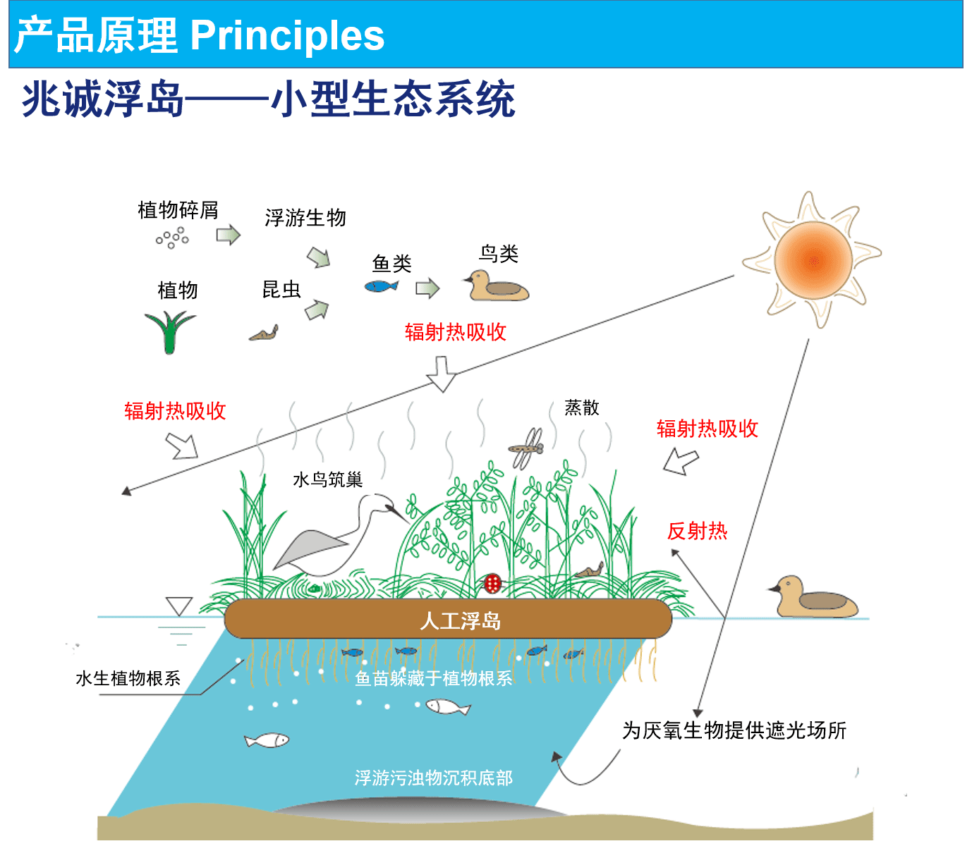 厂家直销人工塑料浮床 水质净化浮床 水生植物种植浮床 塑料浮岛