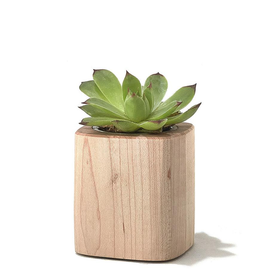 跨境创意木质多肉花盆 日式zakka复古多肉盆栽木质底托办公室简约