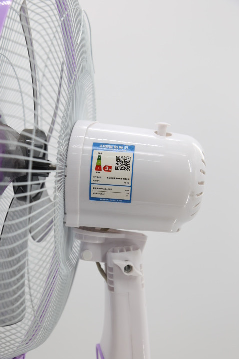 钻石牌电风扇家用落地扇 定时摇头电风扇fs-40-2紫色绿色