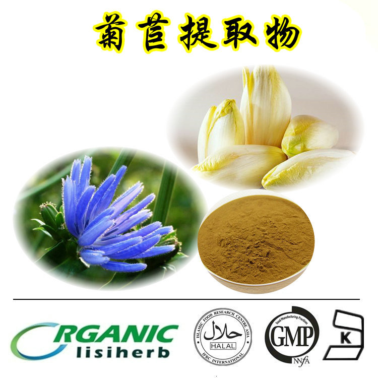菊苣提取物厂家直销菊苣酸菊苣粉
