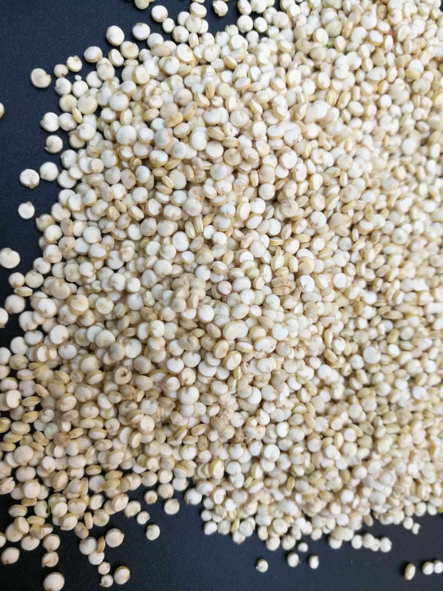 白藜麦 产地批发三色藜麦白龙芽米大颗粒白色黎麦500克一手商