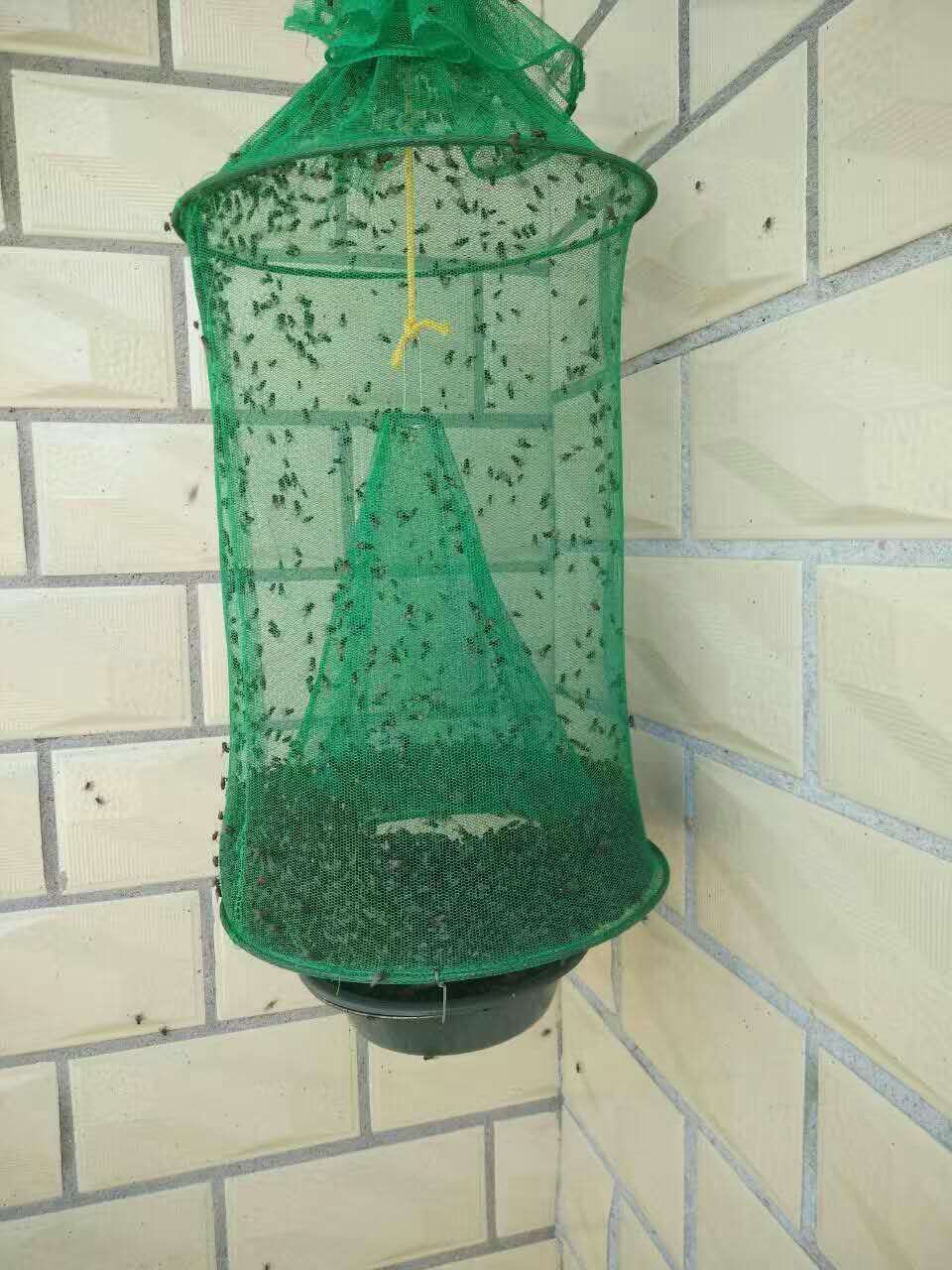 生产捕蝇笼诱蝇笼灭蝇笼苍蝇笼日用品 夏季苍蝇拍蚊蝇香王