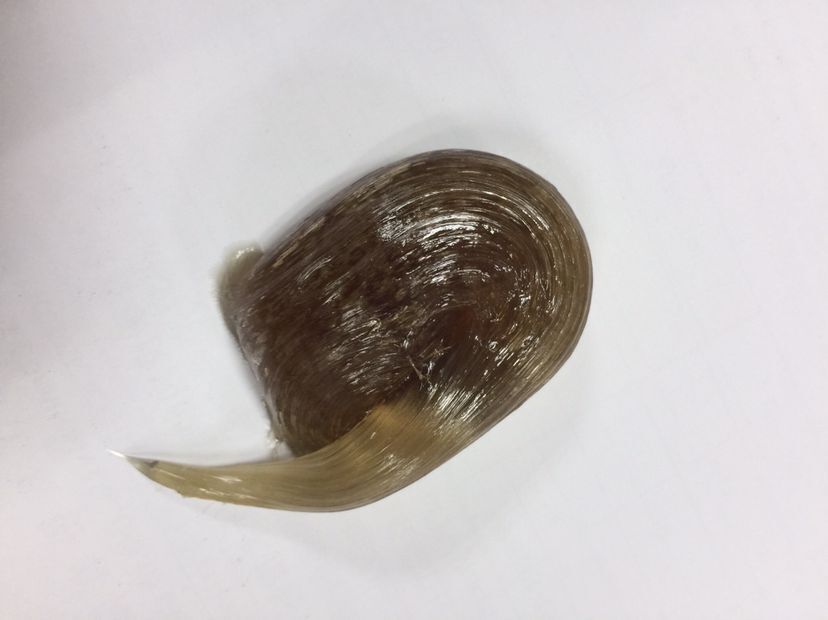 供应歧化松香钾皂