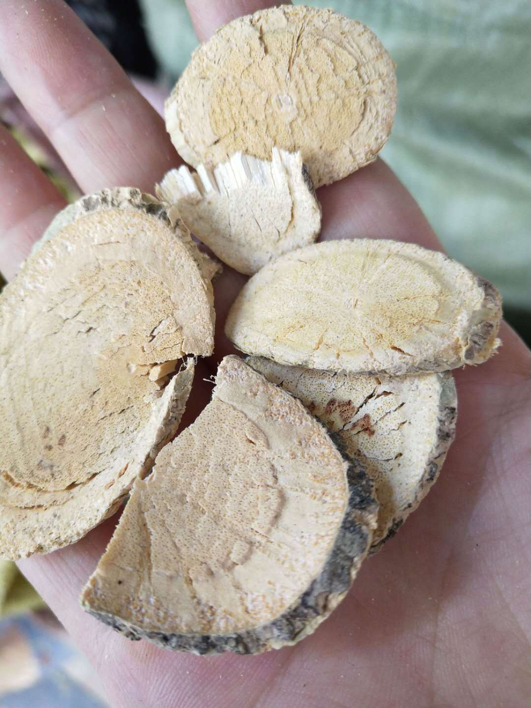 批发供应广西赤苍藤茶 红芽牛耳藤萎藤勾华侧苋降血尿酸腥藤