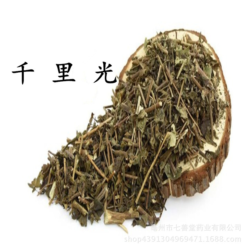 七善堂 中药材批发 千里光 九里光 保质保量 一公斤散装 进店有礼