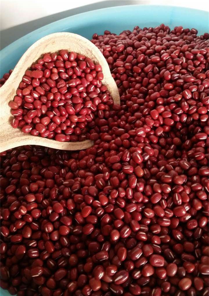 00 品种 赤豆/红豆/小豆 等级 1 完整粒率&ge; 见实物(%)  粗脂肪含量