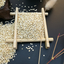 白藜麦 产地批发三色藜麦白龙芽米大颗粒白色黎麦500克一手商