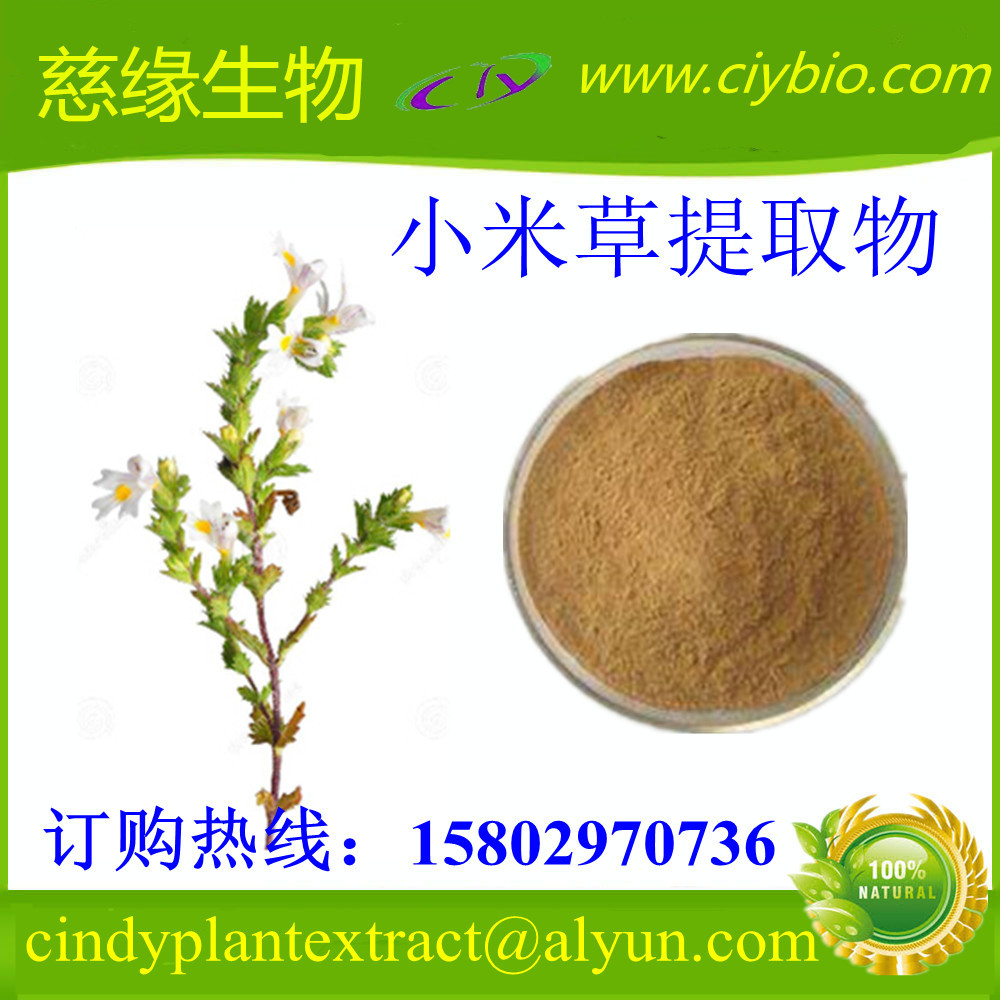 小米草提取物10:1 芒小米草提取物 小米草黄酮 厂家直销