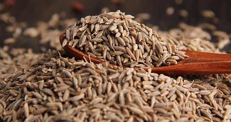 孜然提取物 10:1 孜然芹提取物 现货供应