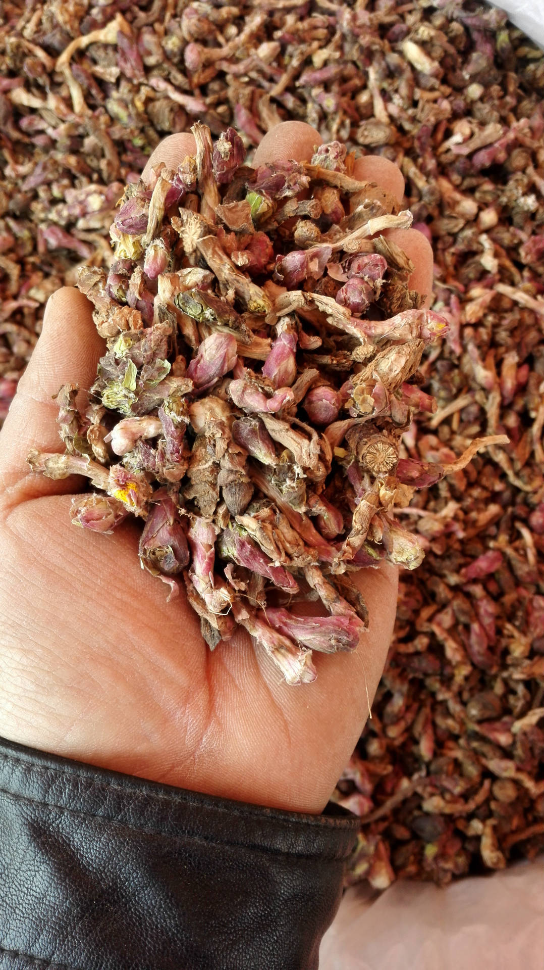 百川药业 款冬花 选装 实物拍照 品质保障 15天无条件退换