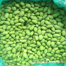 厂家直供  速冻毛豆仁 毛豆夹 冷冻毛豆仁粒IQF soy bean