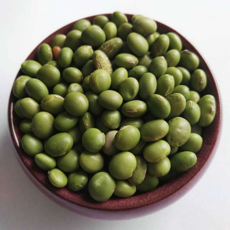 农家自种生大青豆 五谷杂粮青豆种子青大豆青皮豆绿大豆黄豆