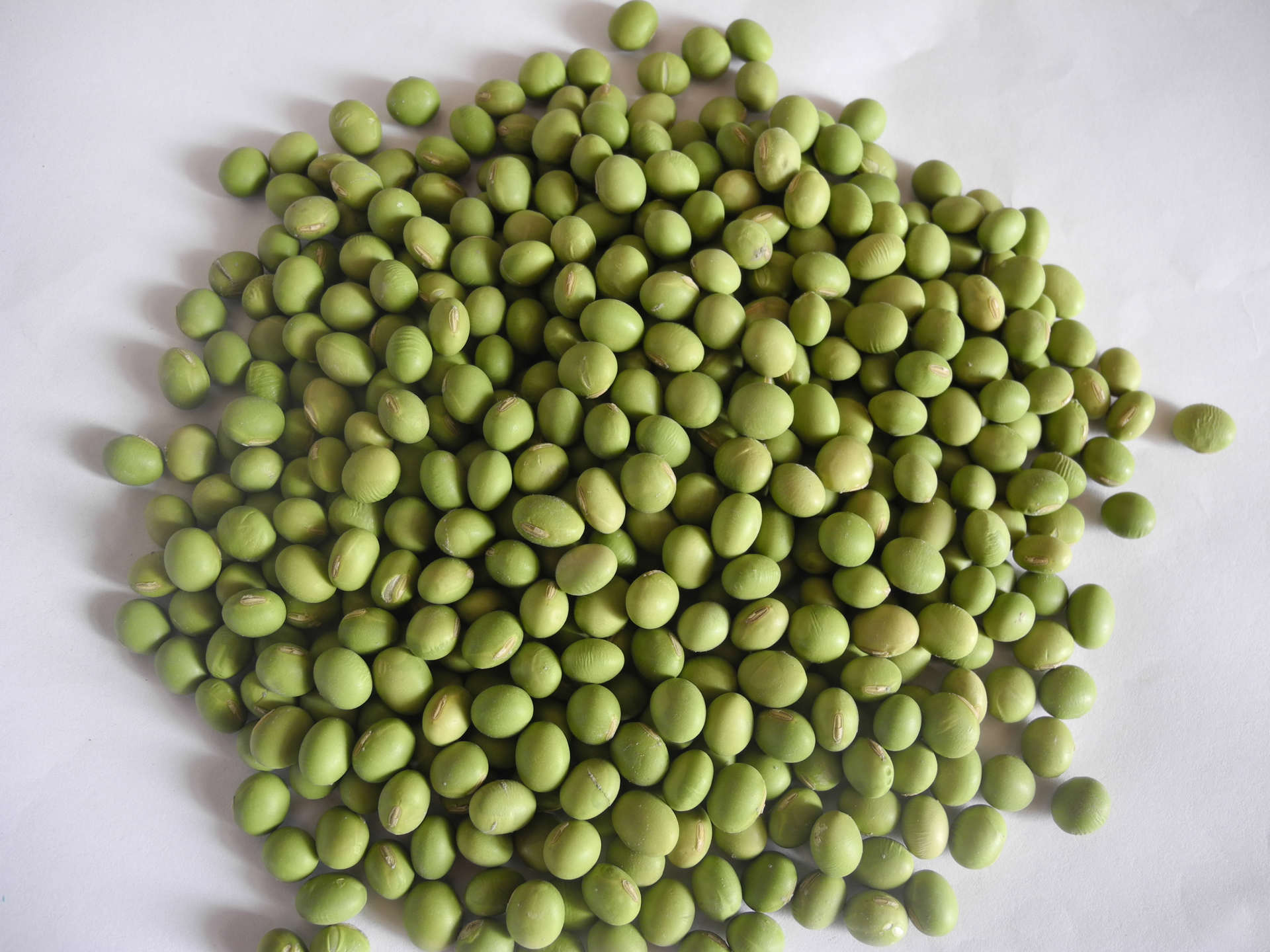 单青豆纯人工挑选好品质出口级单青豆,欢迎选购