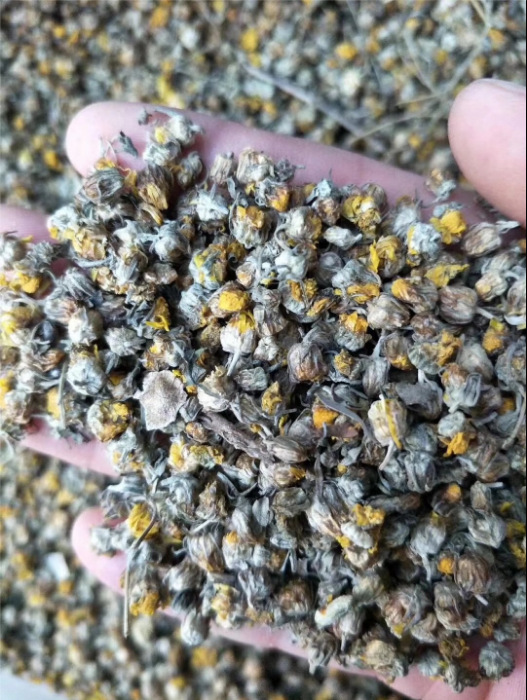 供应中药材 野菊花 颗粒饱满 现货批发各种中草药超细粉-阿里巴巴