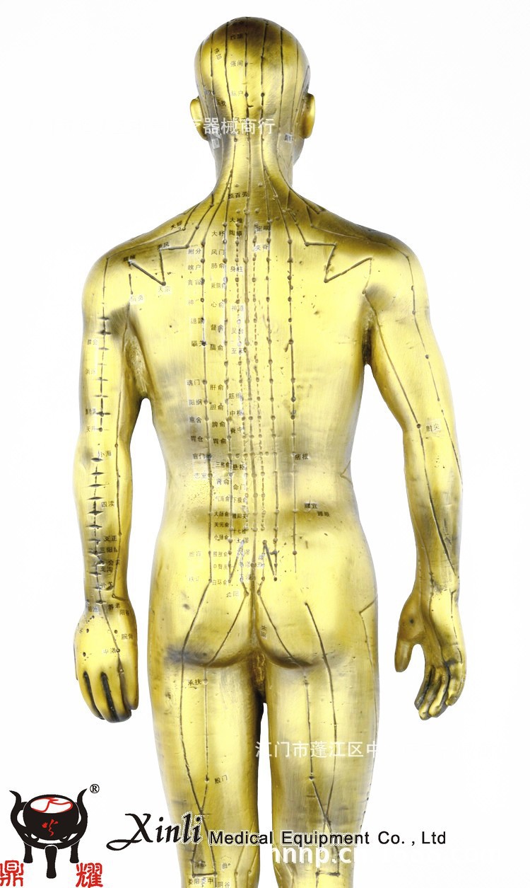 铜经络铜人穴位模型人模鼎耀牌经络铜人