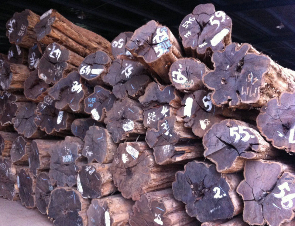 进口热销 天然家具乌木 高密度乌木 防水乌木防腐木原木