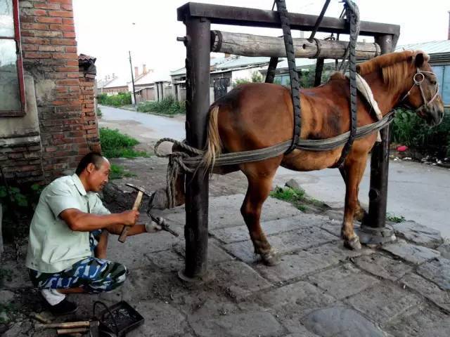钉马掌手艺人