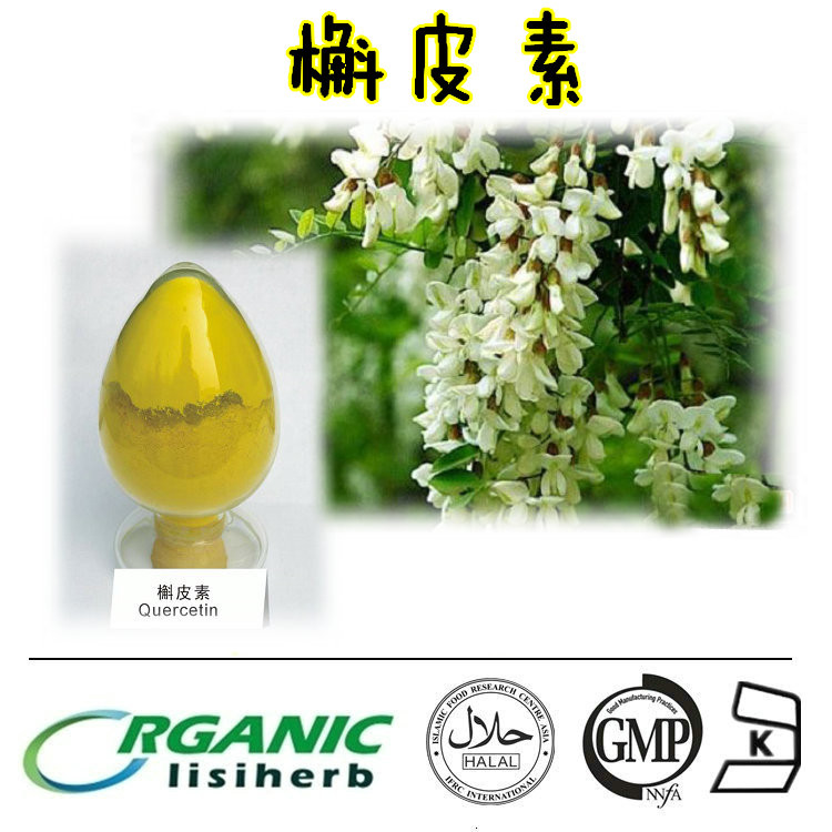 槲皮素 槐米提取物 98%含量 槲皮素 6151-25-3