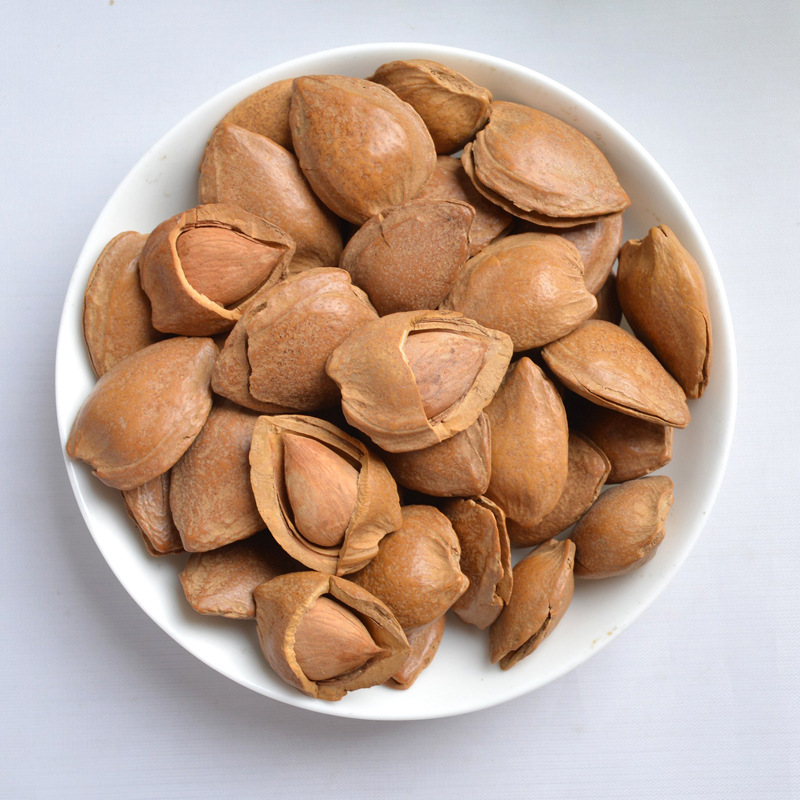 精选新疆小白杏 开口杏核小银杏核 小白杏坚果干果 500gx2 包邮