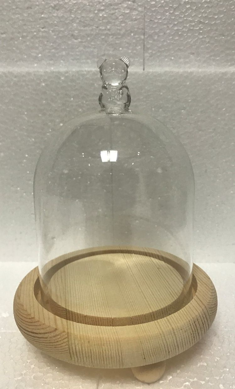 玻璃罩子_永生花玻璃罩子 多肉植物防尘罩景观玻璃工艺品diy玻璃瓶