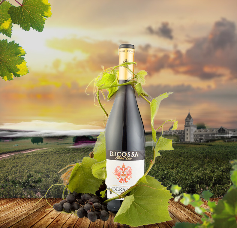 包邮 巴贝拉·阿斯蒂干红葡萄酒750ml docg 重磅瓶意大利进口红酒