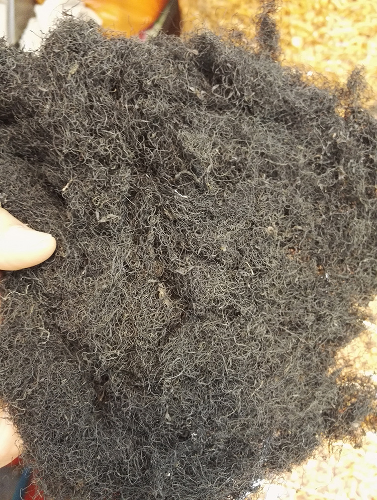 水产干货发菜 优质青海陆地藻发菜 三宝之一发菜产地批发