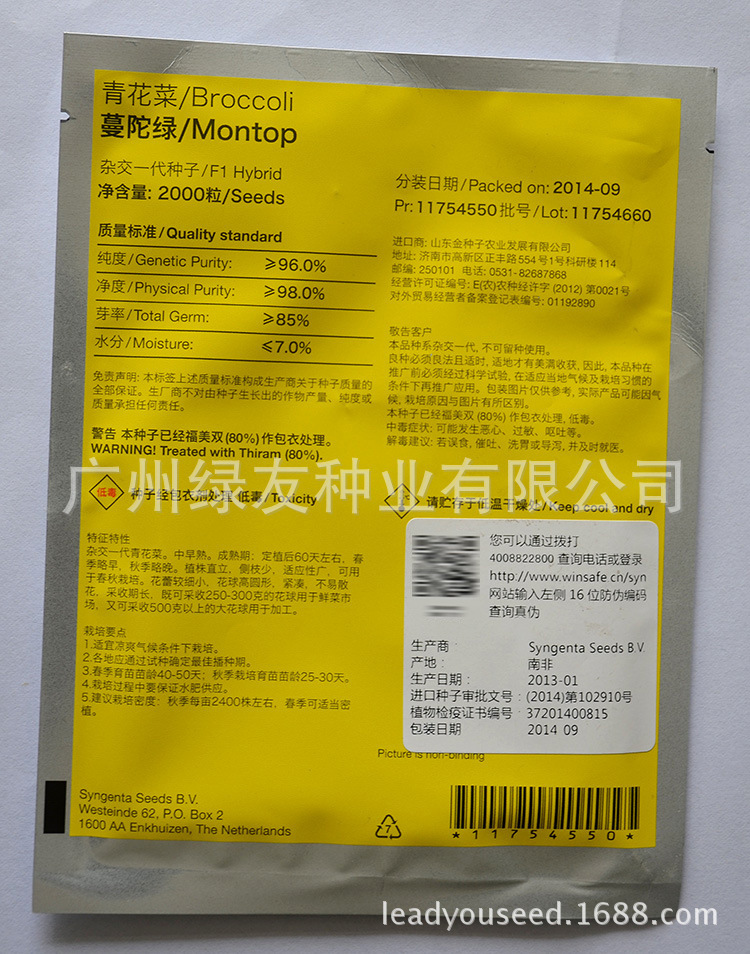 批发进口种先正达西兰花种子青花菜曼陀绿中早熟杂交青花菜种子