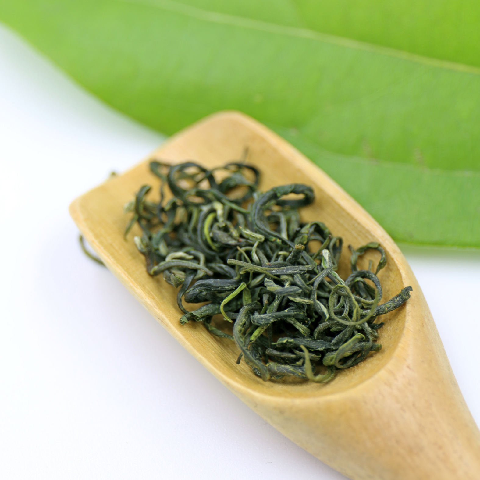 2018峨眉山绿毛峰毛尖碧螺春型散装绿茶卷曲型炒青高香毛峰统卷