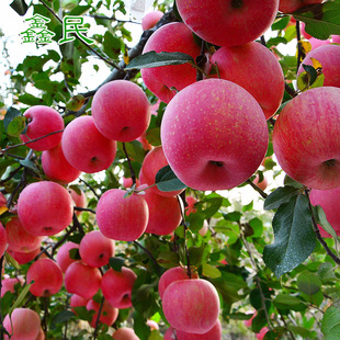 【允许产品图片】_海量精选允许产品图片大全