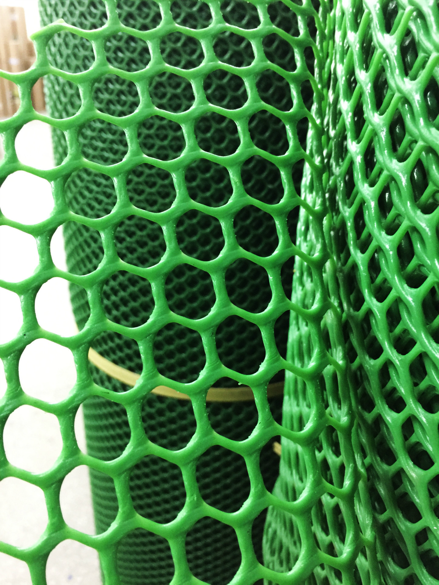 东莞塑料筛网 养殖围栏网 pe料绿色胶网(3mm*1*50米)