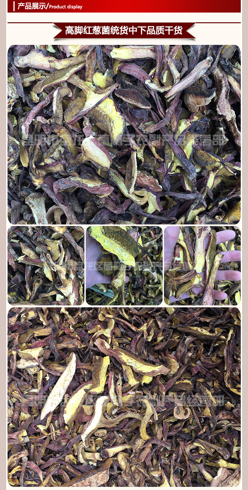 批发云南野生菌批发原生态野生红葱高脚葱食用细葱菌野生菌