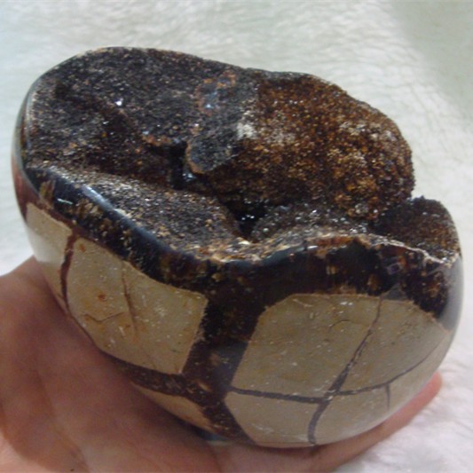 【鼎胜】天然奇石 原石化石背面是漂亮的草花 龟背纹路清晰 特价