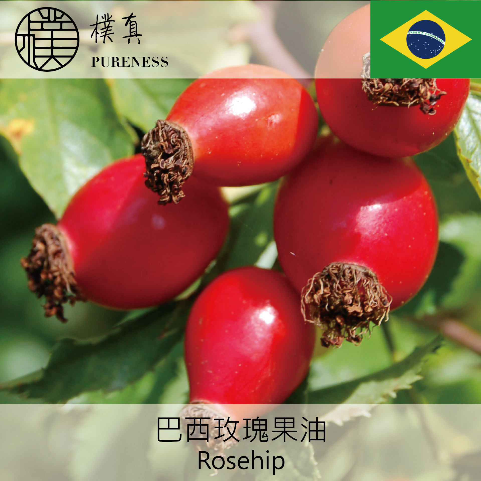 巴西玫瑰果油rosehip植物油 基底油 台湾朴真