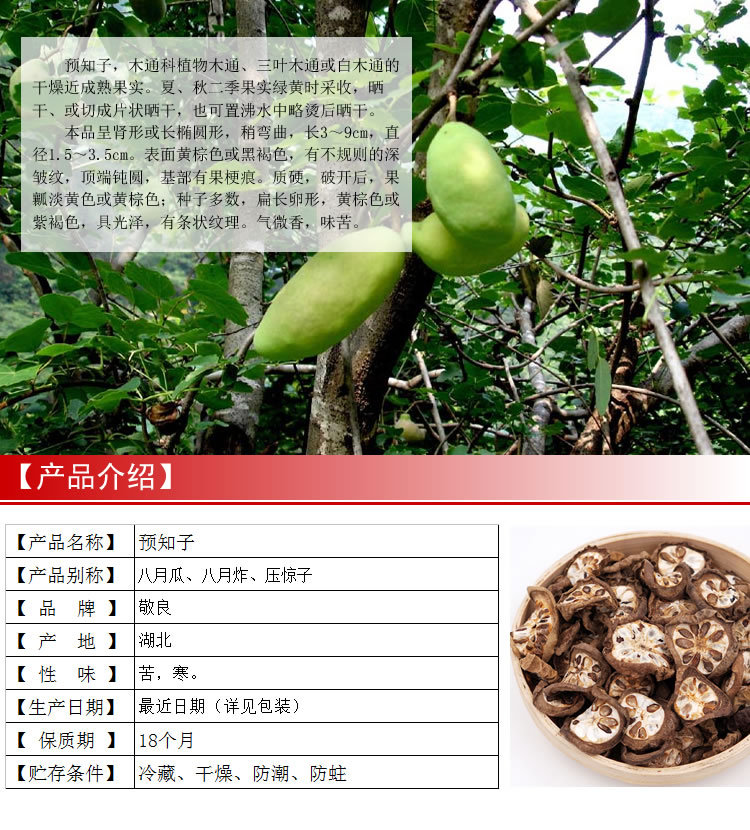 预知子 别名八月瓜八月炸压惊子 gmp厂家直销 量大从优 支持检测