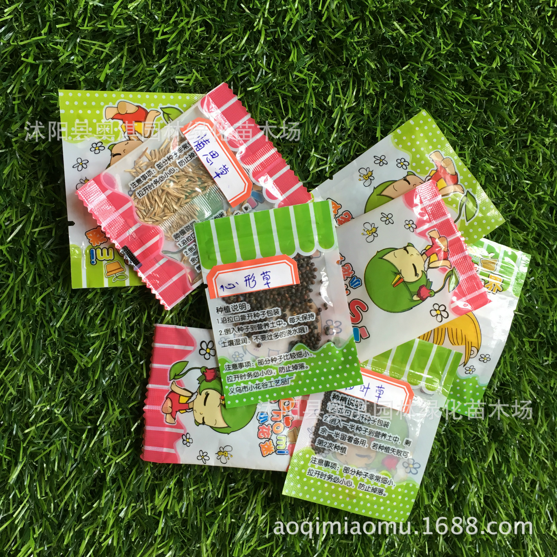 情思草种子 草娃娃种子 室内生态盆栽微景观迷你植物创意桌面摆件