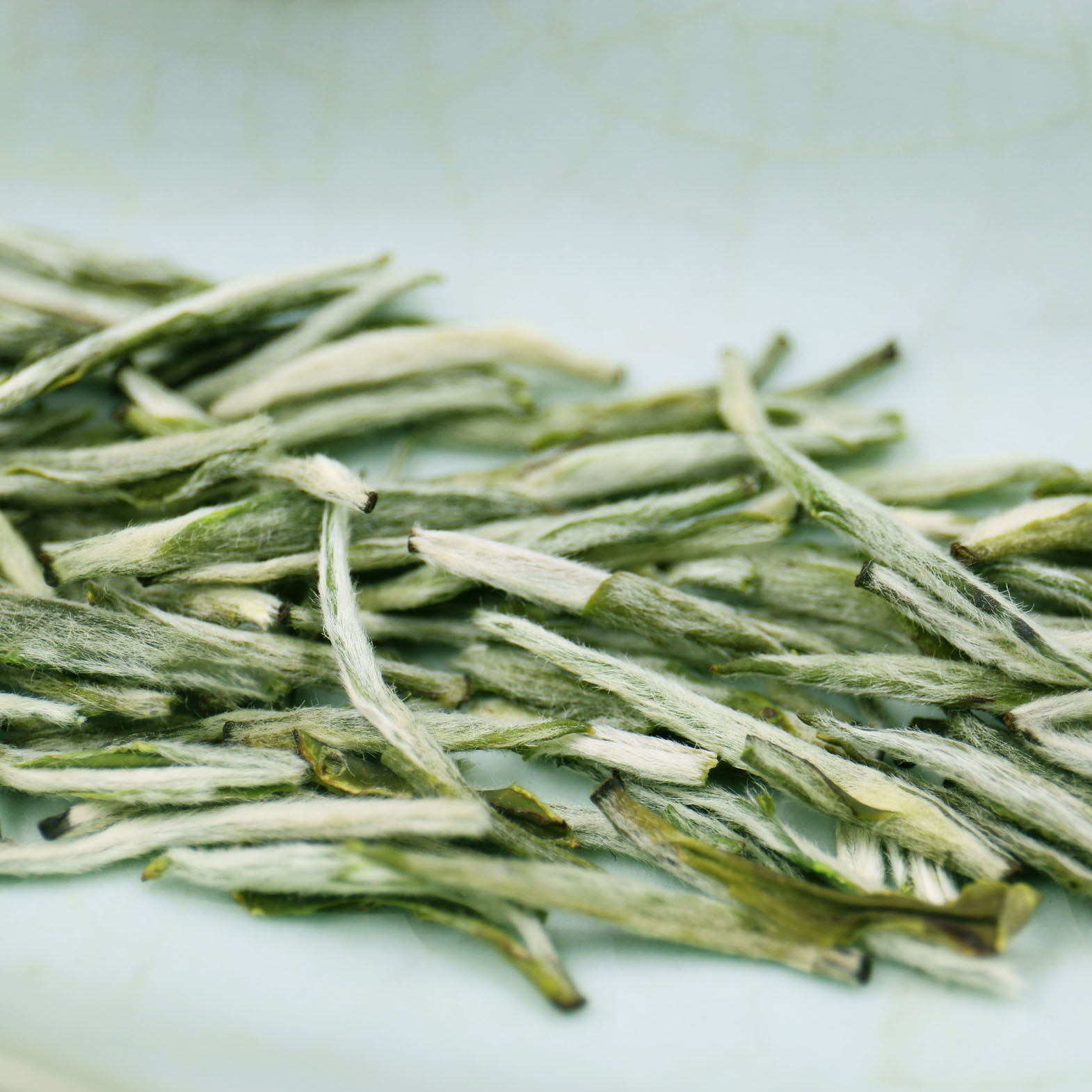 2018散装高级茶叶批发兰草香茶碧池兰妃直条兰花茶可礼盒一件代发