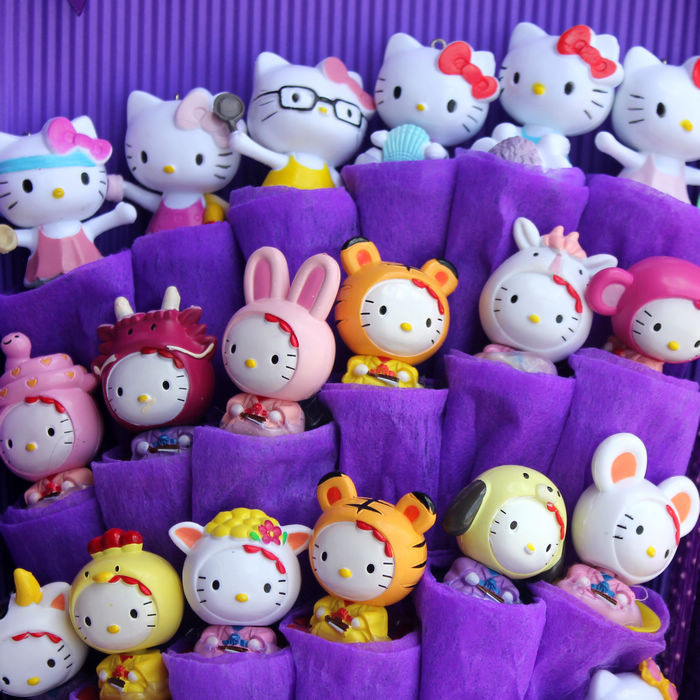 24只kat猫花束卡通花束精美礼盒花束送生日毕业七夕礼物