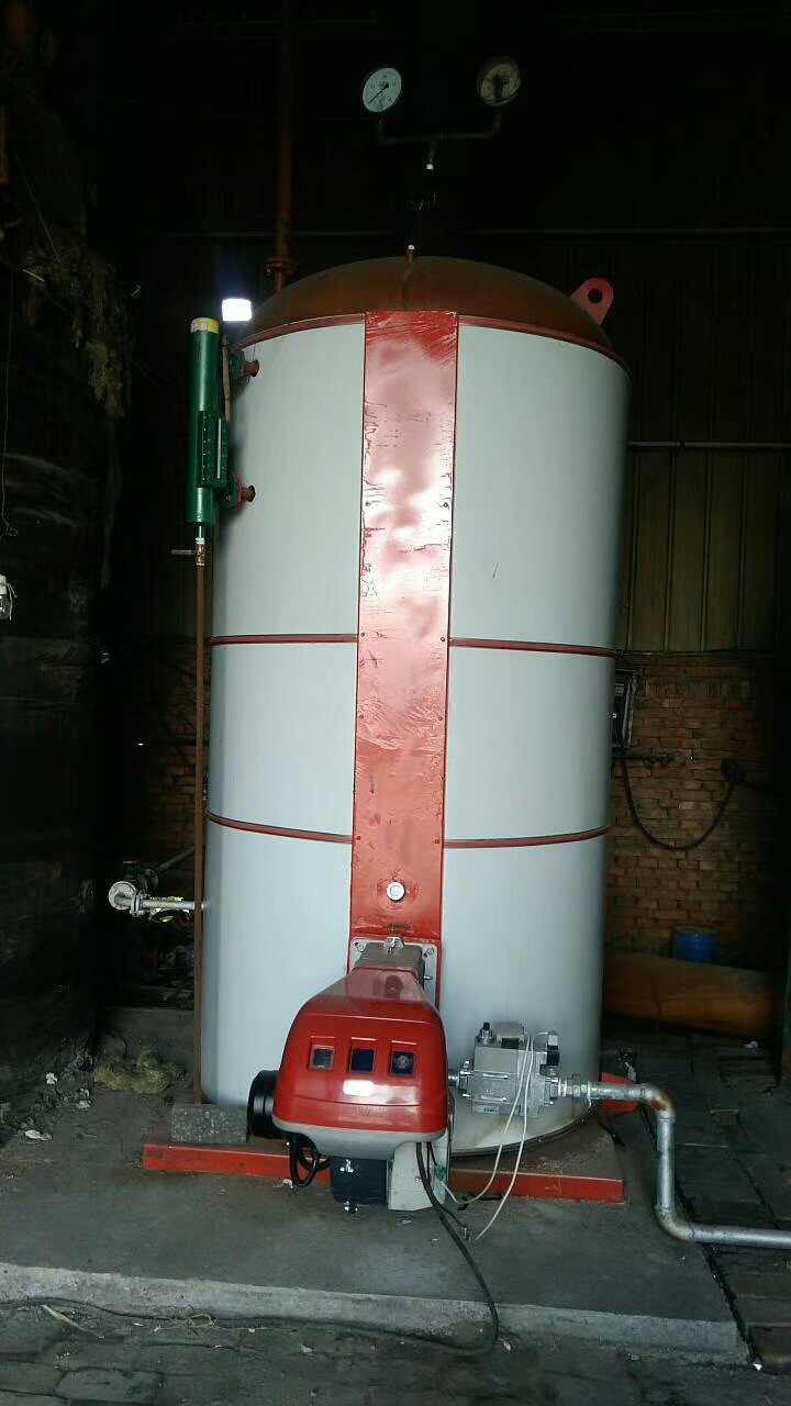 蒸酒食品厂液化气蒸汽锅炉 燃煤蒸汽锅炉厂 常压锅炉