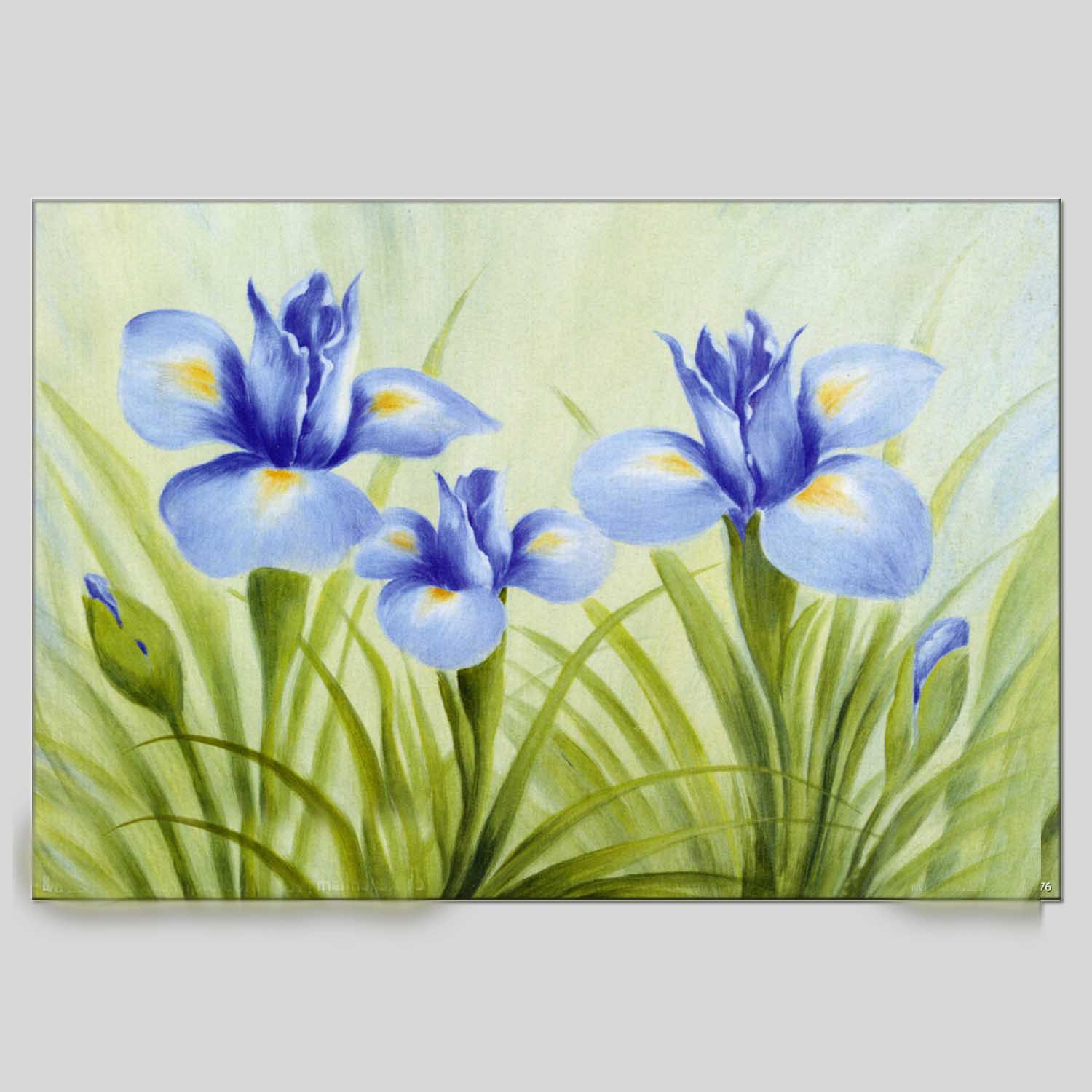 花卉油画装饰油画手绘油画客厅油画oilpainting