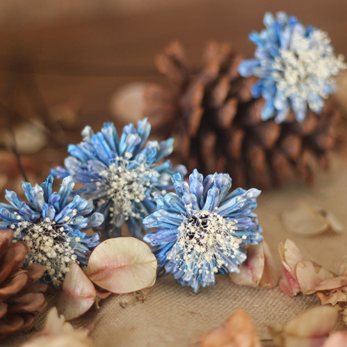 矢车菊清新浪漫真花干花矢车菊菊花家居装饰艺术干花花束花插