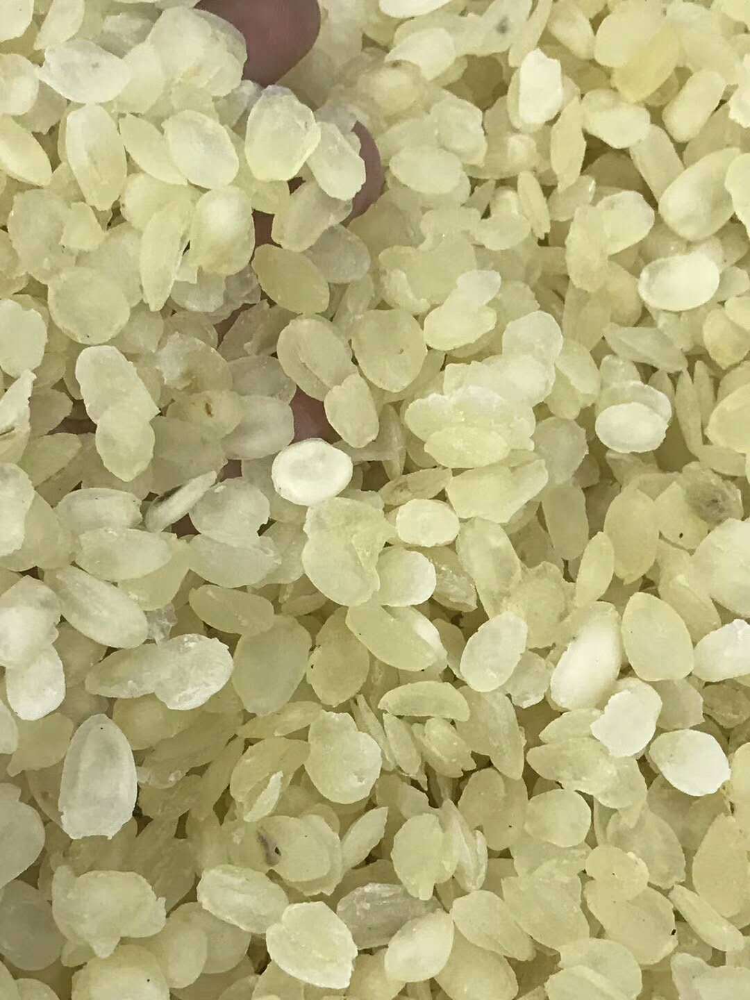 一德路海味渠道 双片雪莲子 ￥140 单片￥80