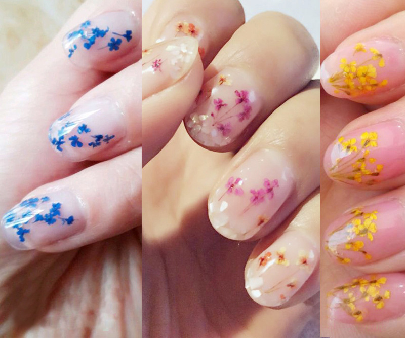 美甲真实干花12色套装 贴花装饰品 指甲装饰diy 配件立体彩色花瓣