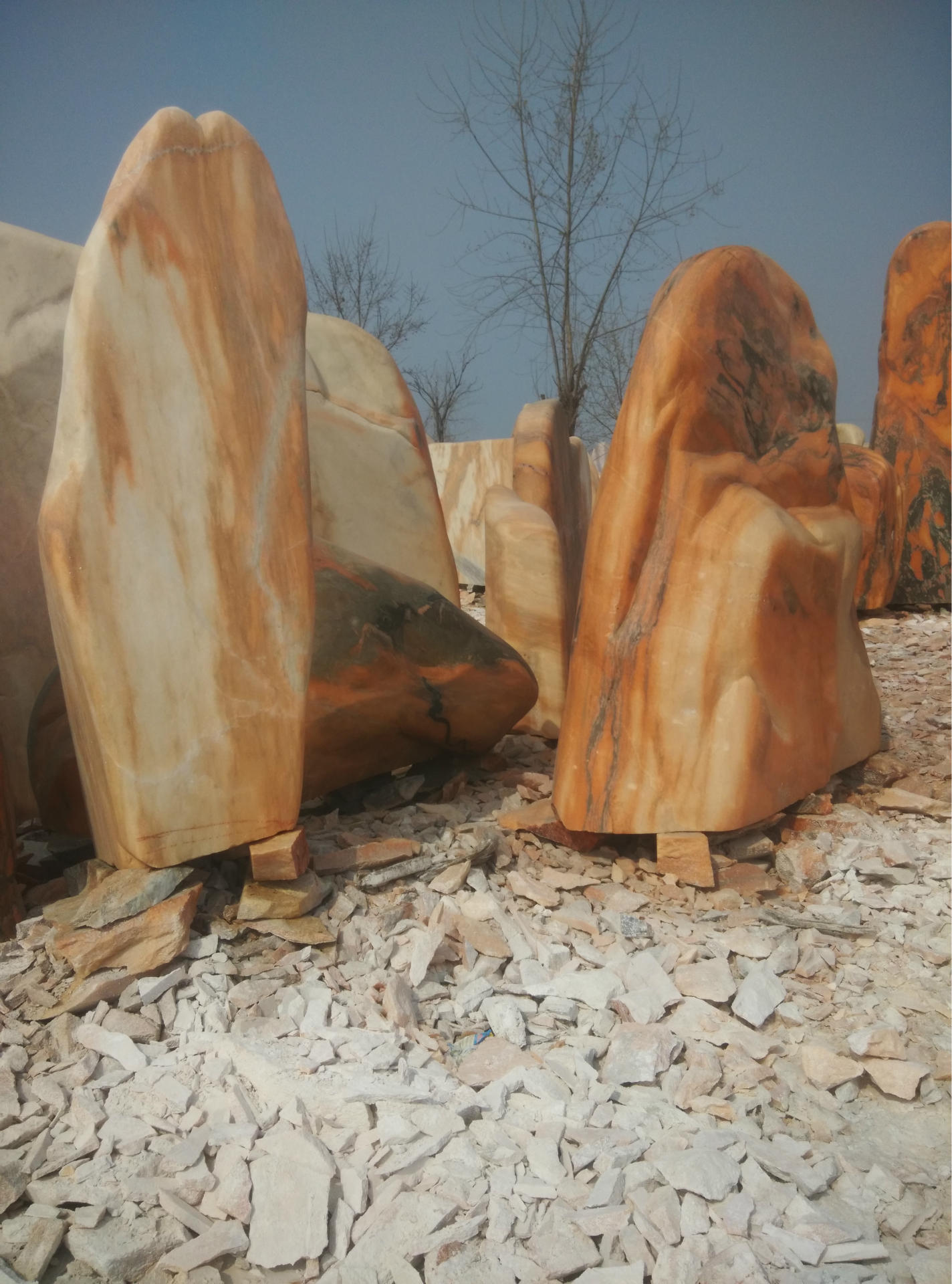 园林石小品 奇石景石哪家比较好