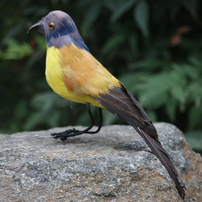 新品仿真小鸟装饰摆件蓝冠噪鹛羽毛小鸟田园家居装饰商城道具