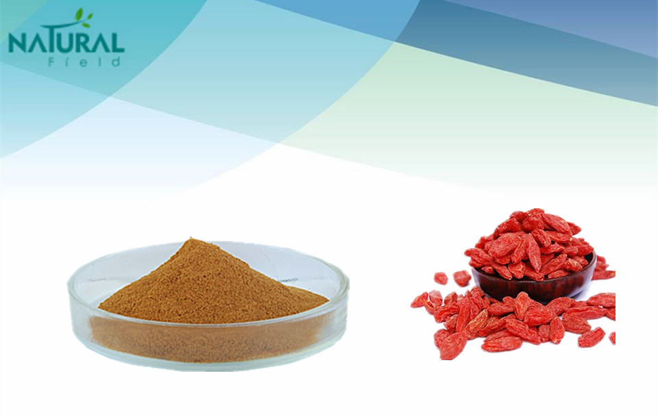 厂家供应 枸杞多糖40% hplc检测 天然提取 高品质原料 现货